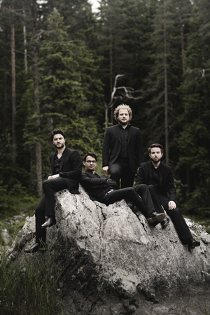 Goldmund Quartett 2 300 px