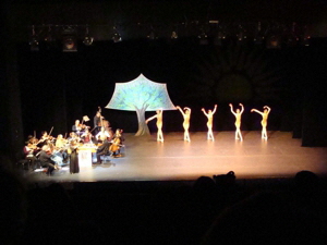 Vivaldi 11 web Vivaldi 11 web